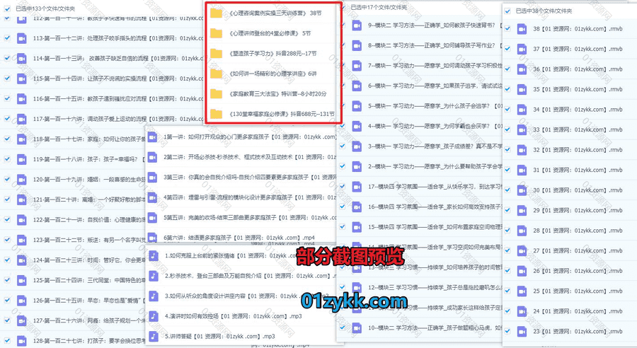 6套王纪琼视频音频课程(含抖音同款)38G网盘资源合集，包含家庭教育三大法宝/幸福家庭必修课/塑造孩子学习力/心理咨询案例实操三天训练营…等_赚钱插图1