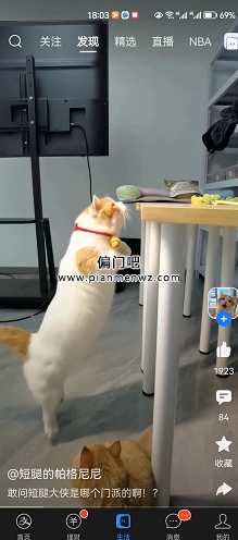 视频搬运每日500+的zhifu宝闷声赚钱项目插图