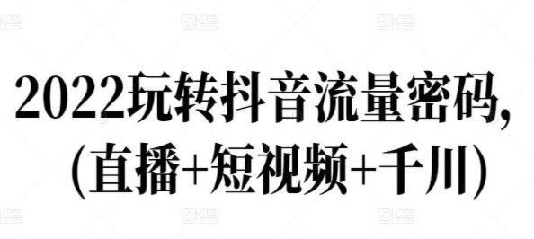 玩转抖音流量密码