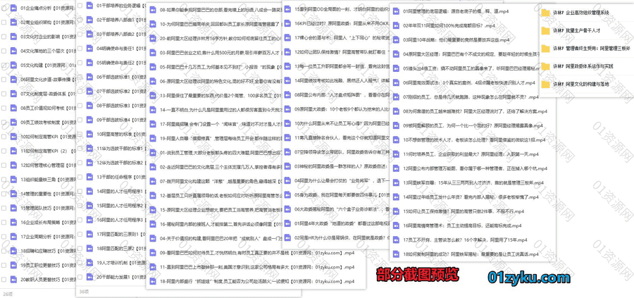 许林芳5套课程21G百度网盘资源合集，包含阿里文化的构建与落地/管理三板斧/批量生产骨干人才/企业高效组织管理系统/政委体系运作实践……_赚钱插图1