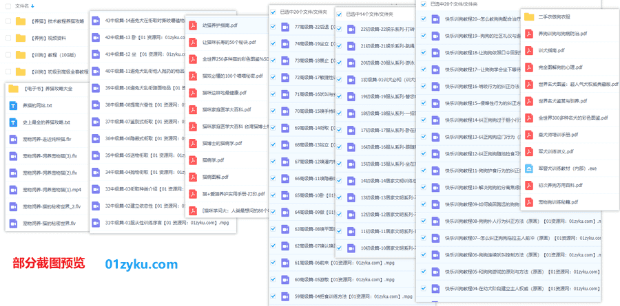 25G养猫训狗教程攻略学习视频百度网盘资源合集，包含初级中级高级技术教程+视频电子书文档_赚钱插图1