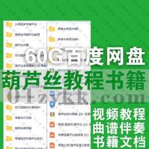 60G葫芦丝巴乌学习技巧培训视频教程+PDF电子书教材文档+考级精曲示范曲谱伴奏百度网盘资源合集，包含张迪/李春华/音乐佳/曾明…等名师课程_赚钱插图
