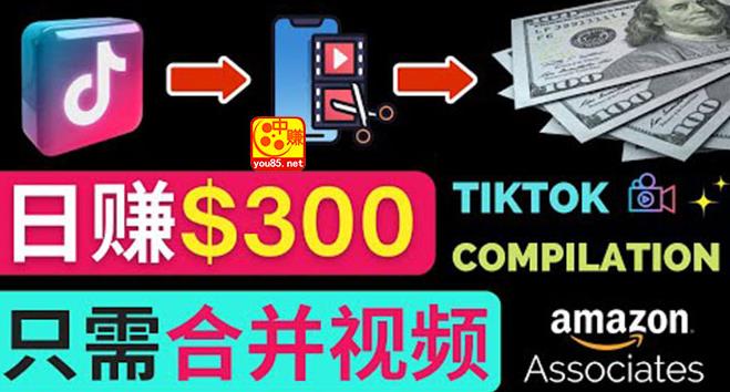 【副业3627】搬运Tiktok短视频到Youtube赚钱，只需下载，合并视频，日赚300美元插图