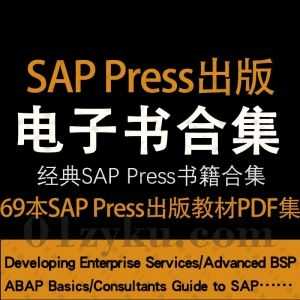 69本SAP Press出版社出版的英文书籍教材电子版PDF百度网盘资源合集，包含Advanced BSP/ABAP Basics/Consultants Guide to SAP……等书籍_赚钱插图