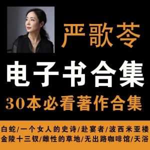 严歌苓30本电子书作品百度网盘资源合集（PDF+MOBI+EPUB)_赚钱插图