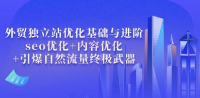叶建阳《外贸独立站优化基础与进阶》