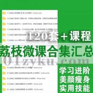 120套+荔枝某课百度网盘资源合集，包含学习方法/体制系列课/摄影设计/穿衣打扮/历史文学……等课程_赚钱插图