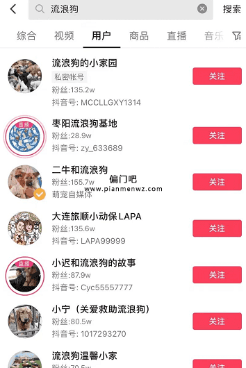 捞偏门利用同情心直播流浪狗赚钱的项目插图2