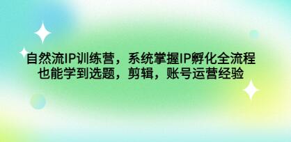 自然流ip孵化