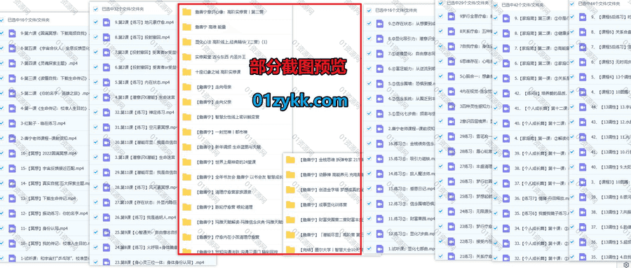 詹唐宁24套视频课程357G网盘资源合集，包含十座幻象之城/高能养元/脉轮疗愈营/清理疗愈营家族源泉/觉和沟通法则/走向父母/成事显化…等_赚钱插图1