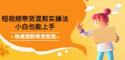 短视频带货混剪实操教程