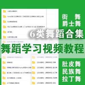 全套舞蹈学习视频教程，街舞/爵士舞/肚皮舞/民族舞/拉丁舞……_赚钱插图