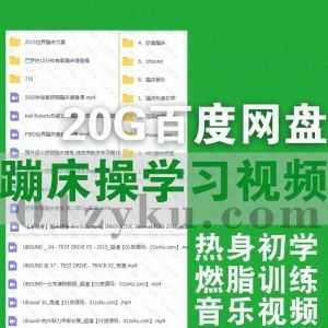 20G蹦床健身操Power Jump教学视频百度网盘资源合集，包含蹦床操燃脂训练/热身初学/跳床健身……等内容_赚钱插图