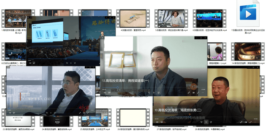 【企业投资CEO演讲系列】高瓴资本张磊+高瓴投资的18家企业CEO演讲访谈视频百度网盘资源合集_赚钱插图3