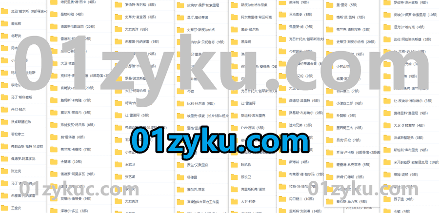 180+世界知名导演代表作品3000G百度网盘电影资源合集，包含伍迪艾伦/卓别林/园子温/新海诚/大卫芬奇……等_赚钱插图1