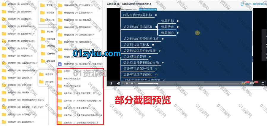 95G养猪全套视频教程百度网盘资源合集，包含母猪饲养管理/猪病防范治疗/引种预留/猪场运营……等相关内容_赚钱插图1