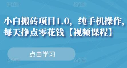 小白无脑搬砖项目