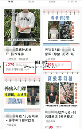 捞偏门年入60万的养殖虚拟项目插图1