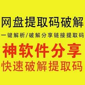 【网盘提取码破解软件】一键解析/破解分享链接提取码_赚钱插图