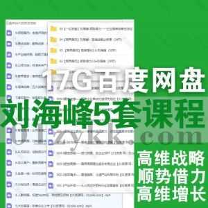 一亿中流董事长刘海峰5套学习视频课程17G网盘资源合集，包含高维战略必修课/高维增长企业家战略必修课/顺势借力/高维战略方法论…等_赚钱插图