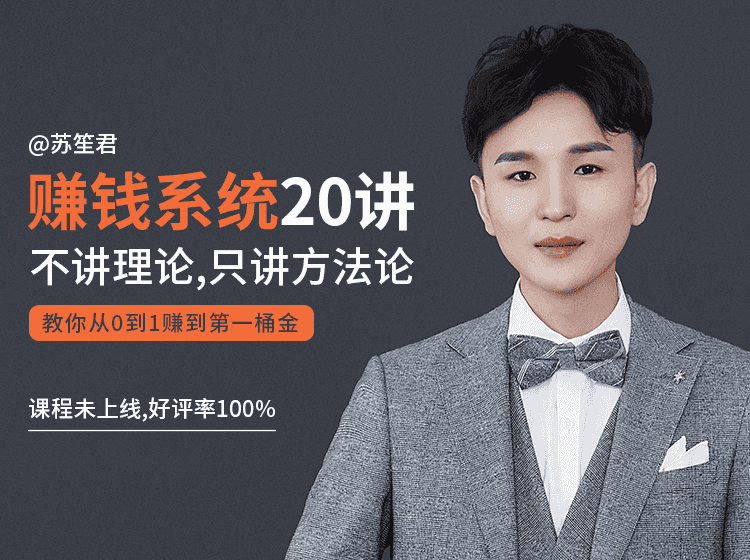 苏笙君的赚钱系统20课 教你从0到1赚到你的NO.1桶金（不讲理论，只讲方法论）插图