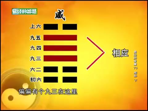 曾仕强:易经的智慧,114节完整版21G 价值299元(免费下载)插图2 曾仕强:易经的智慧