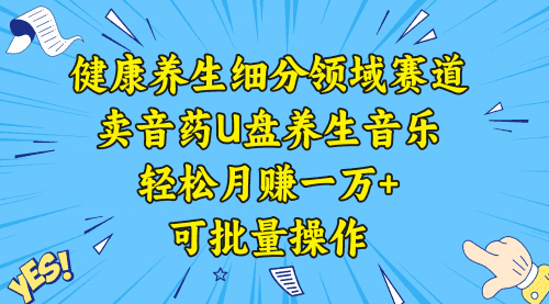 【第8638期】健康养生细分领域赛道，卖音药U盘养生音乐，轻松月赚一万+，可批量操作
