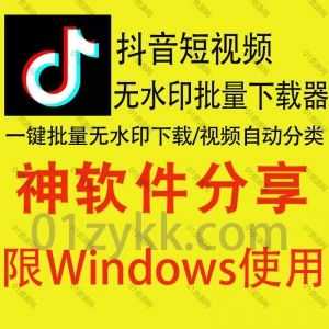 2023年zui新多功能抖音短视频无水印批量下载采集软件，支持单视频/作者主页作品合集一键免费下载，支持采集视频文案/点赞/评论/分享数…等_赚钱插图