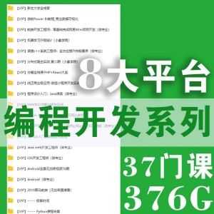 【376G】学编程全系列课，安卓ios+前端+Python+Java等_赚钱插图