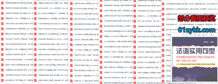 1646本法语学习类教材课本专业书籍PDF电子版网盘资源合集，包含法语语法练习指导/法语专业教学研究/新理念大学法语/新编法语基础…等_赚钱插图1