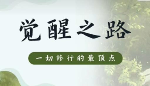 尤尤觉醒之路
