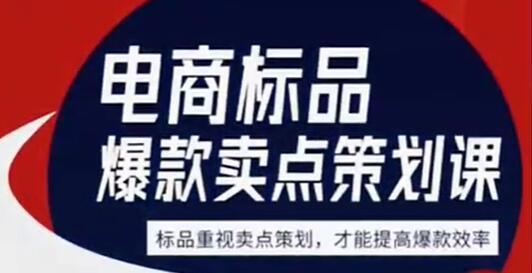 大圣电商视频