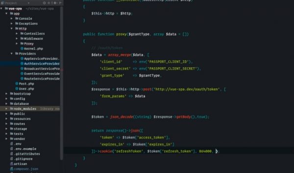 Laravel Vue 开发 SPA 应用 课程视频截图