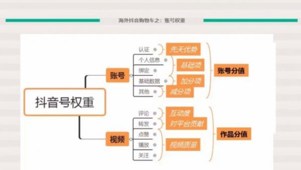 Tiktok跨境带货教程:打造高质量国际版抖音账号视频教程 价值599元插图1 TikTok电商&网红出海高阶实战训练营 视频截图