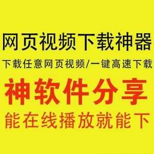 【网页视频下载神器】网页嗅探，99%网页播放视频都能下载！_赚钱插图