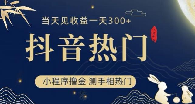 抖音zui新小程序撸金，测手相上热门，当天见收益一小时变现300+【揭秘】