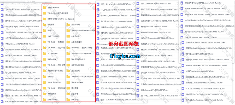 266G北美美国知名导演代表作电影超清百度网盘资源合集，包含马丁斯科塞斯/伍迪艾伦/伊斯特伍德/昆汀……等31位名导作品_赚钱插图1