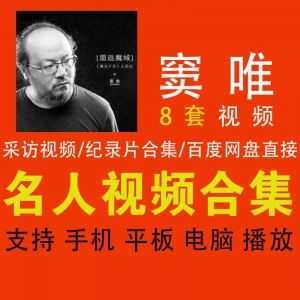 窦唯│名人视频系列-采访/纪录片视频百度网盘合集_赚钱插图
