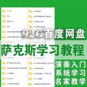 92G萨克斯入门精通初高级学习视频教程百度网盘资源，名家教学/系统学习/演奏入门/弹奏技法……_赚钱插图