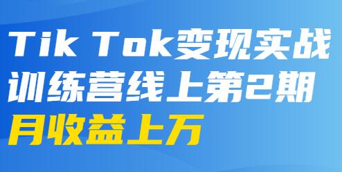 龟课tiktok变现实战