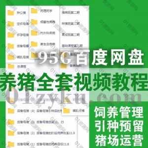 95G养猪全套视频教程百度网盘资源合集，包含母猪饲养管理/猪病防范治疗/引种预留/猪场运营……等相关内容_赚钱插图