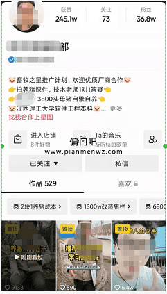捞偏门年入60万的养殖虚拟项目插图