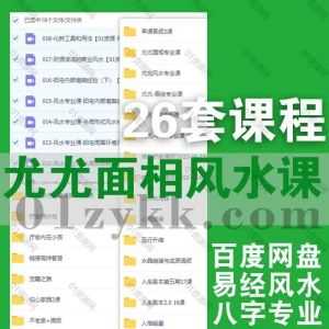 26套尤尤面相易经风水八字课程网盘资源合集，包含宗师命理/修复疗愈调频/疗愈师/7天心力修行课/内在修行启蒙/人生剧本2.0/人格能量…等_赚钱插图