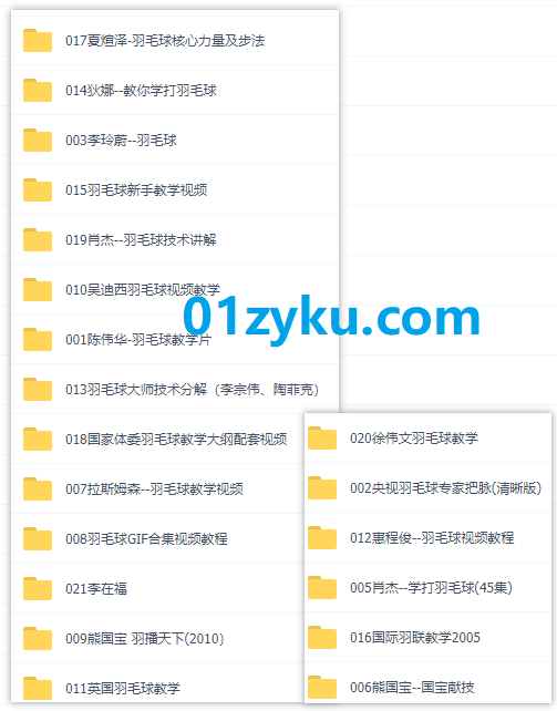 20套羽毛球入门到精通视频教程百度网盘资源合集，包含知名运动员技术讲解/国际羽联/guojia体委羽毛球教学_赚钱插图1
