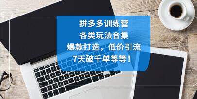 拼多多新手训练营在哪里看