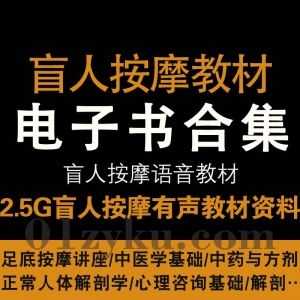2.5G盲人按摩中等专业教材有声朗读版MP3音频百度网盘资源合集，包含足底按摩讲座/中医学基础/中药与方剂/正常人体解剖学……等_赚钱插图