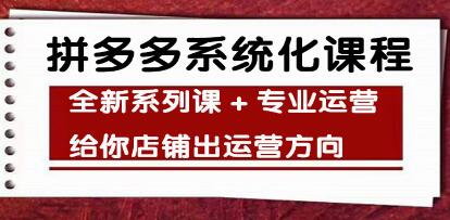 拼多多运营课程下载