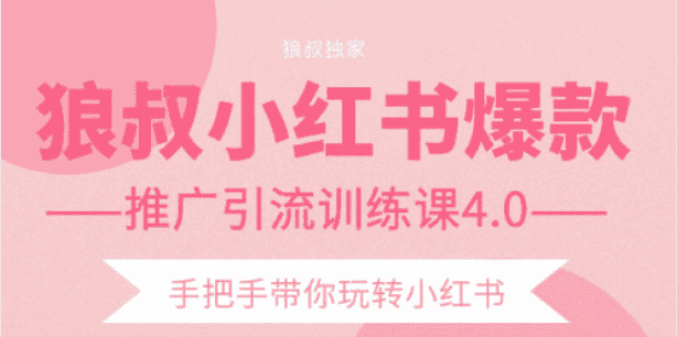 狼叔小红书爆款推广引流训练课4.0，手把手带你玩转小红书插图