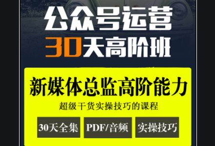 晋升新媒体营销：公众号运营·30天高阶班(完整版下载) 价值199元插图