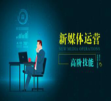 新媒体运营高阶技能视频课